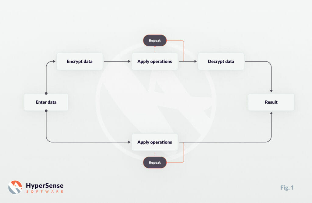 Fully Homomorphic Encryption (FHE)