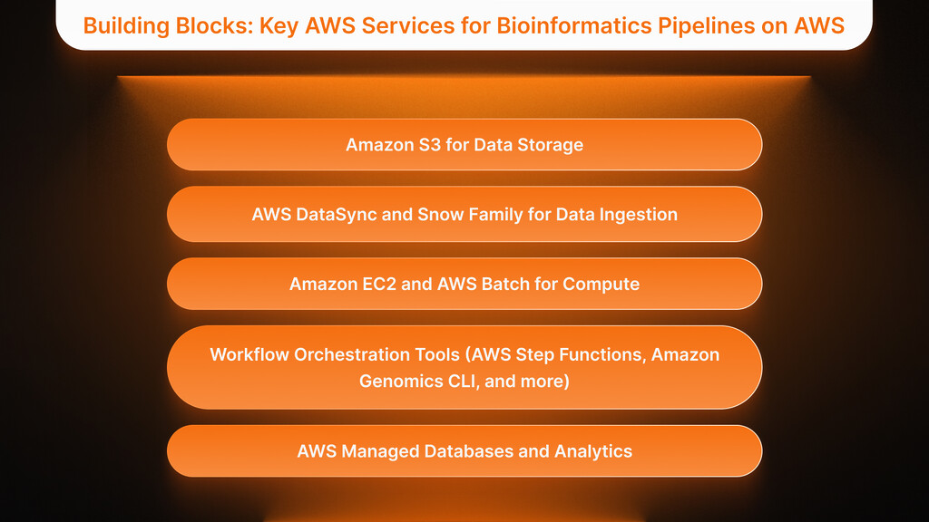 Building Blocks- Key AWS Services for Bioinformatics Pipelines on AWS